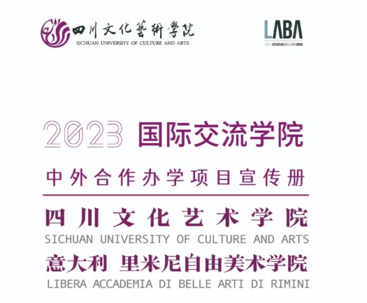 2023年四川文化艺术学院中外合作办学项目招生宣传册